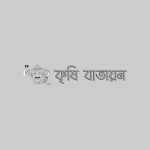 টিয়া হাইব্রিড